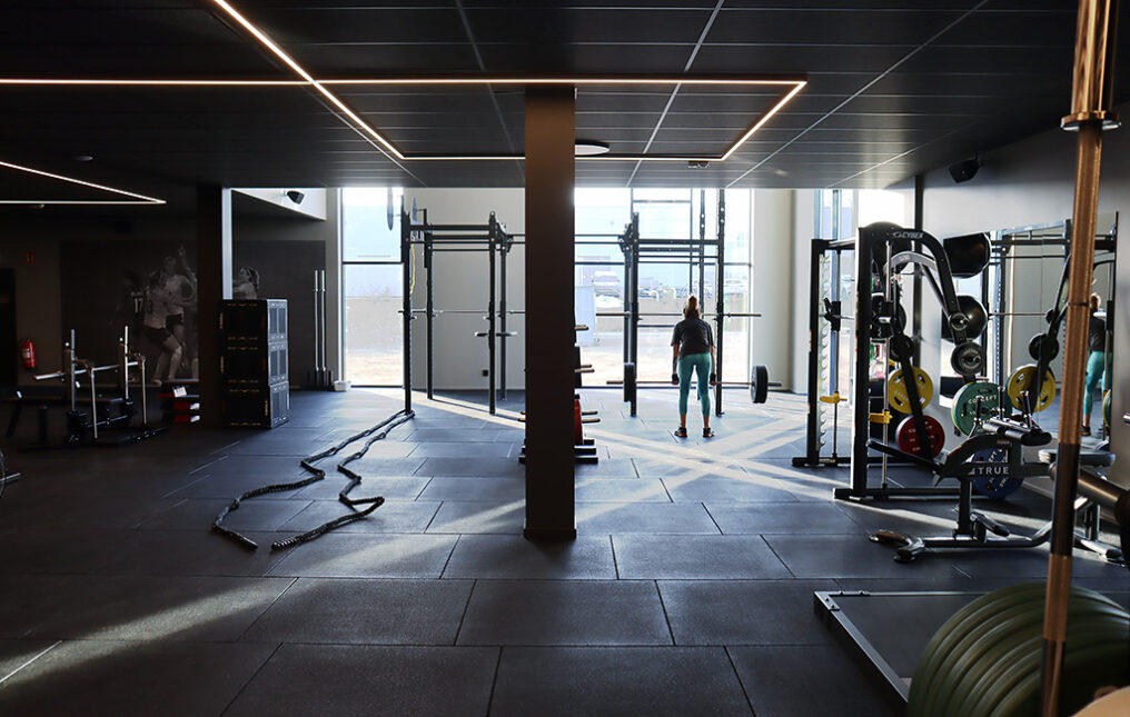Gymmet med skivstänger, maskiner och fria vikter